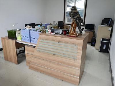 攜手共進(jìn)，再譜新篇——熱烈祝賀九度與漢武機(jī)電簽署網(wǎng)站服務(wù)協(xié)議，深化針紡織品及原料銷售合作