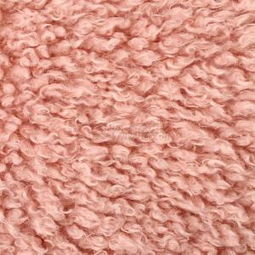 優(yōu)質(zhì)獅子絨全滌針織絨布 廠家直銷，PV絨家紡服裝面料現(xiàn)貨供應(yīng)，針紡織品原料專業(yè)銷售